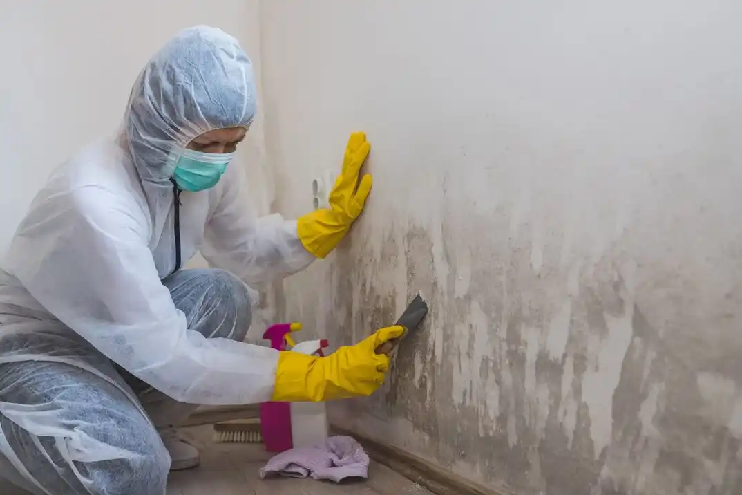 water damage restoration service Enochs Street-Hyde Park